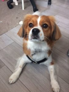 Pretty boi